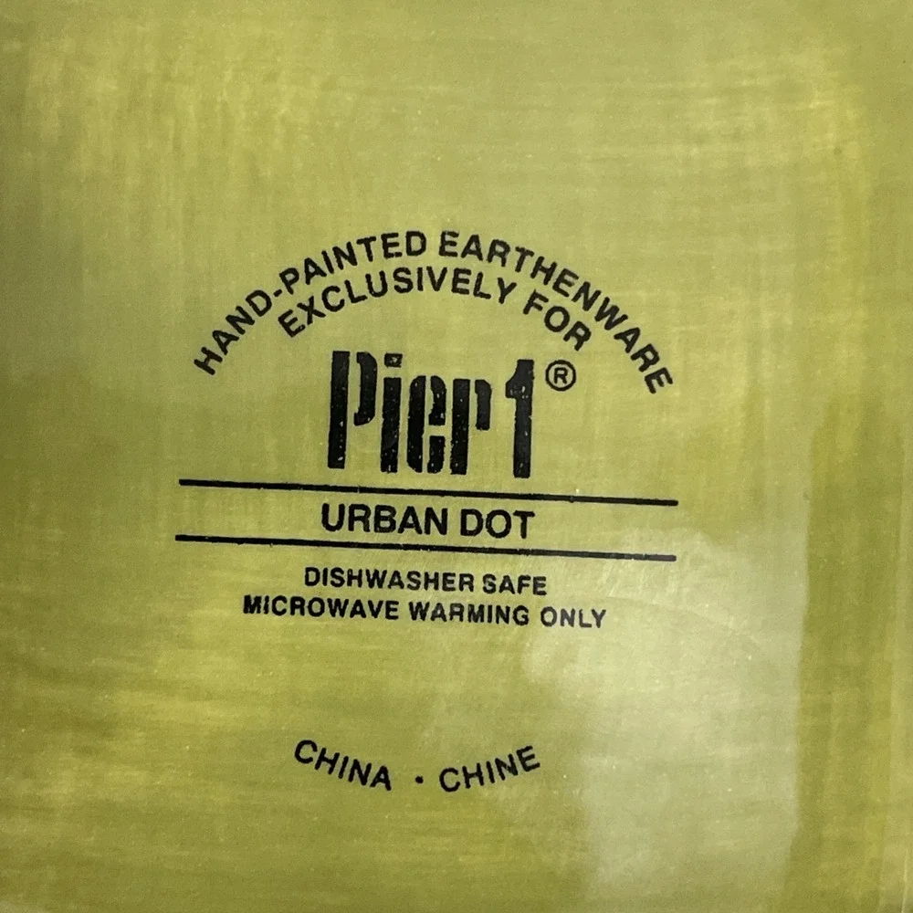 PIER 1 URBAN DOT 3 SECTION PLATE TRAY 20